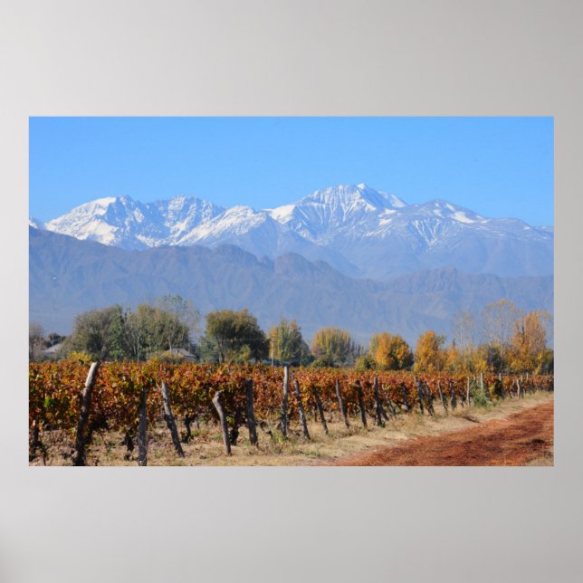 Póster Viñedos En La Caída De Mendoza, Argentina (Frente)