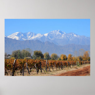 Póster Viñedos en la caída de Mendoza, la Argentina