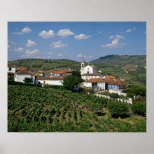 Póster Viñedos, Pueblo de San Miguel, Douro