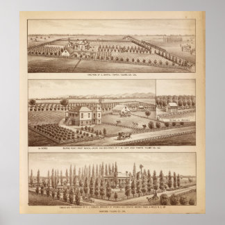 Póster Viñedos, ranchos, Tulare Co, Calif
