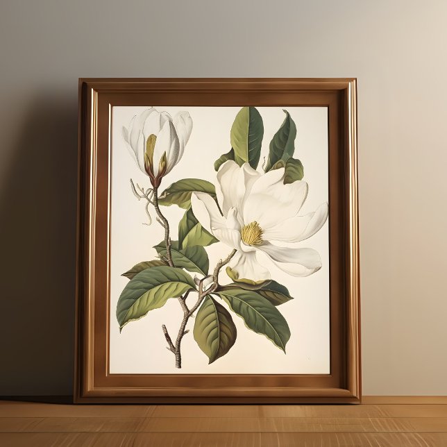 Póster Viñeta Botánica (Vintage white flower print is shown in a wooden frame.)
