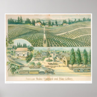 Póster Viñetería y bodegas de vino Nouveau Medoc (1213A)