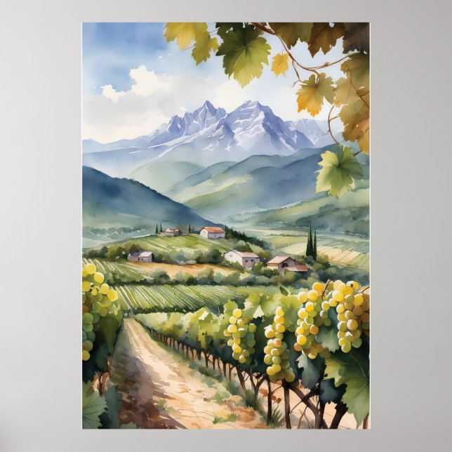 Póster Vineyard (Frente)
