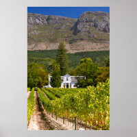 Vineyard, Ciudad del Cabo, Cabo Occidental, Sudáfr