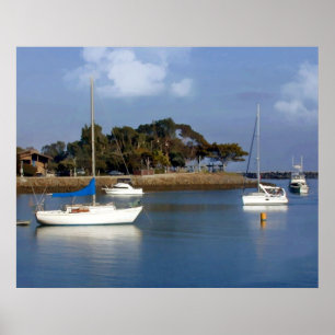 Póster Viniendo y saliendo del mar