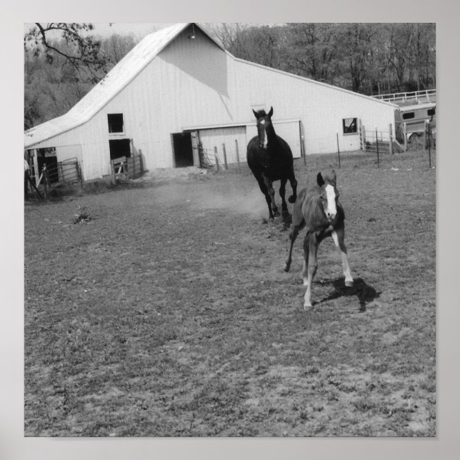 Póster Vino a Ya (Frente)