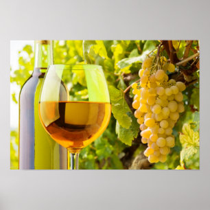 Póster Vino Blanco Y Uvas