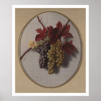 Póster Vino de uva (1363)