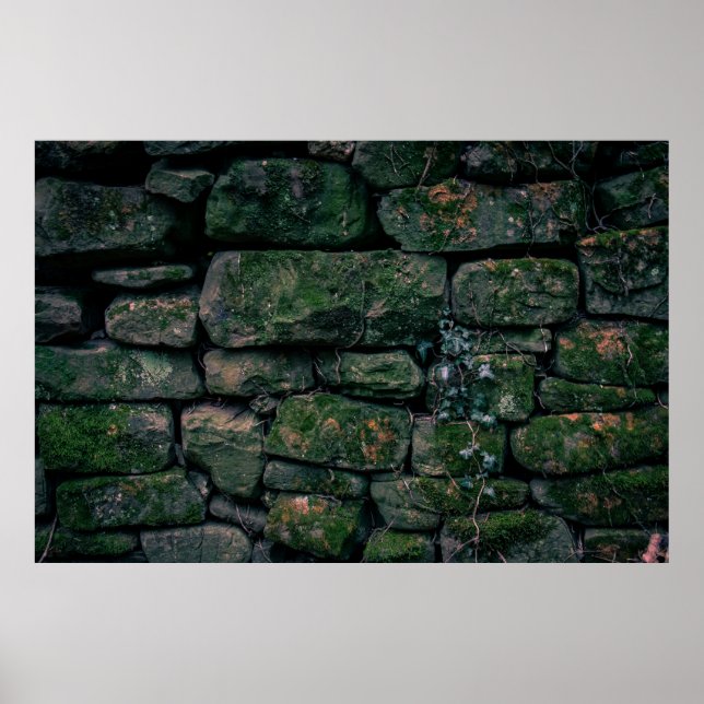 Póster Vinos marrones sobre bloques de piedra apilados (Frente)
