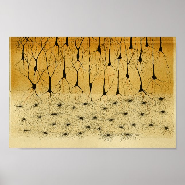 Póster Vintage 1886 Trastornos del sistema nervioso centr (Frente)