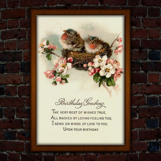 Póster Vintage 1917 Aves anidantes Cumpleaños (Subido por el creador)