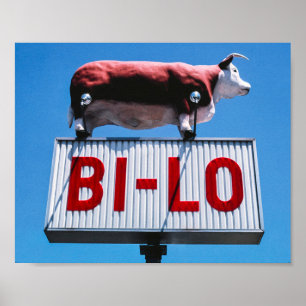 Póster Vintage American Sceneration