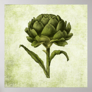 Póster Vintage Artichoke Poster