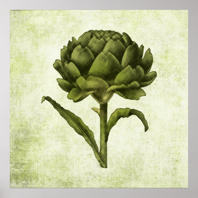 Póster Vintage Artichoke Poster (Frente)