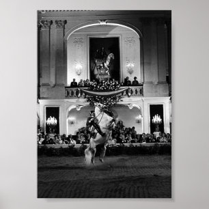 Póster Vintage Austria Viena