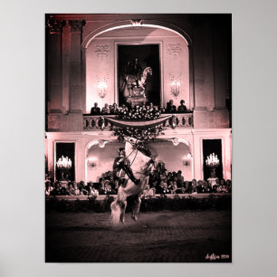 Póster Vintage Austria Viena Corbeta Española