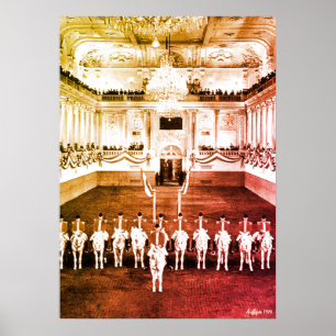 Póster Vintage Austria Viena Corbeta Española