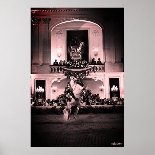 Póster Vintage Austria Viena Corbeta Española