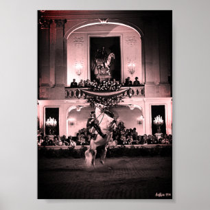 Póster Vintage Austria Viena Corbeta Española