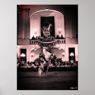 Póster Vintage Austria Viena Corbeta Española