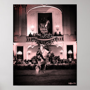 Póster Vintage Austria Viena Courbette Española