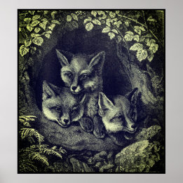 Póster Vintage baby fox woodland