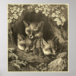 Póster Vintage baby fox woodland