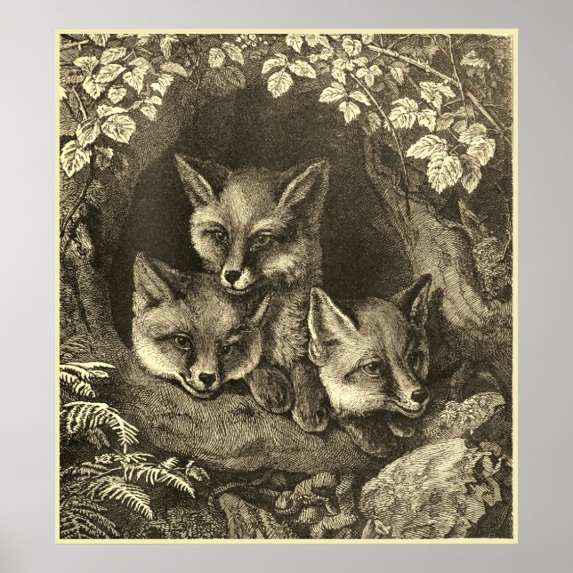 Póster Vintage baby fox woodland (Frente)