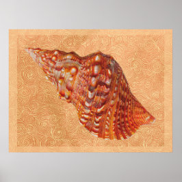 Póster Vintage Beach Seashell