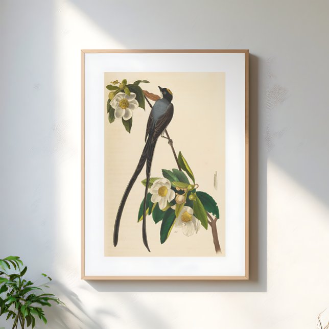 Póster Vintage Bird Swallow-tailed floral illustration (Subido por el creador)