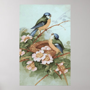 Póster Vintage Birds Print