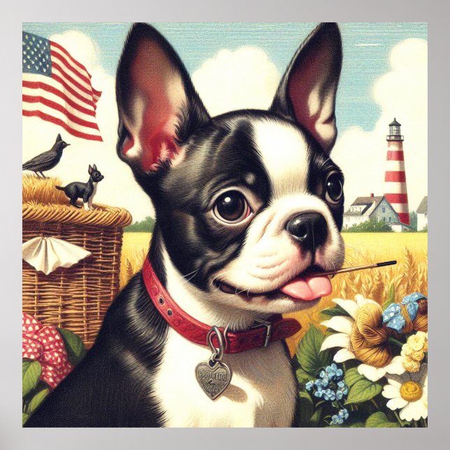 Póster Vintage Boston Terrier Ilustracion (Frente)