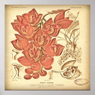 Póster Vintage Botanical Canvas.
