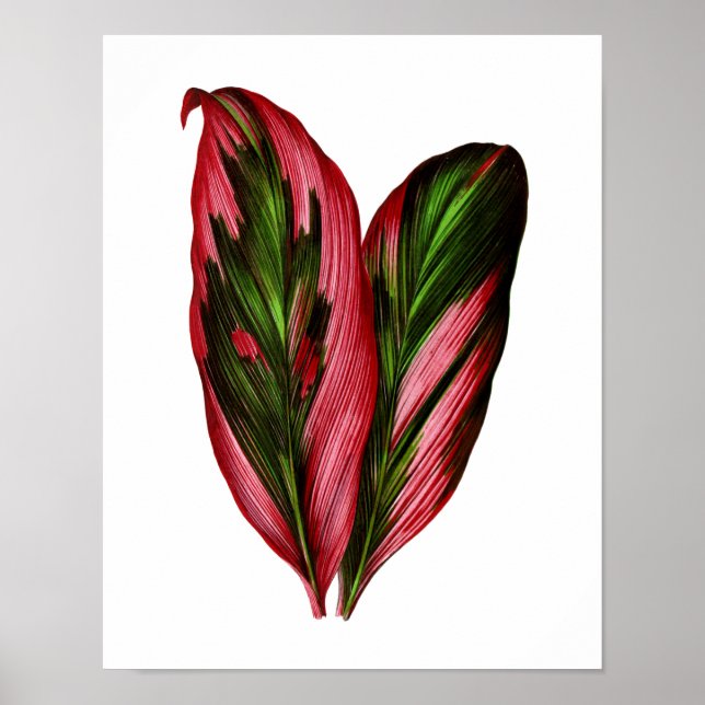 Póster Vintage Botanical Leaf Print (Frente)