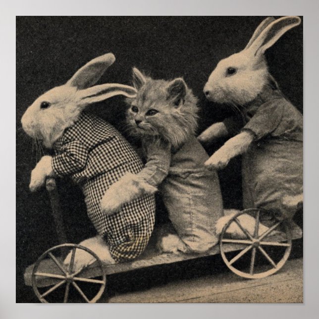 Póster Vintage - Bunnies & Kitten Travellers, (Frente)
