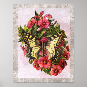 Póster Vintage Butterfly