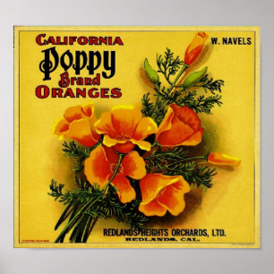 Póster Vintage California Poppy Naranjas