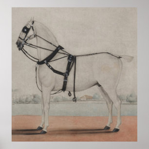 Póster Vintage Carriage Horse Painting (1845)