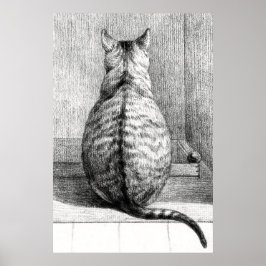 Póster Vintage Cat Sketch Art Drawing