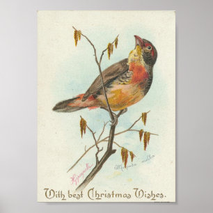 Póster Vintage Christmas Bird