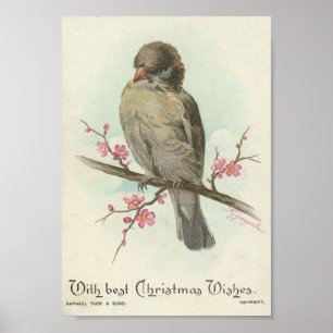 Póster Vintage Christmas Sparrow