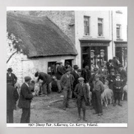 Póster Vintage Co. Kerry Ireland, Feria de Ovejas de Kill