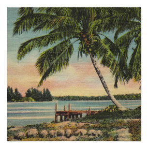 Póster Vintage Coconut Palmas Breeze Tropical Sunset
