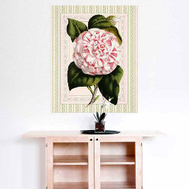 Póster Vintage color rosa y blanco camellia Shabby Elegan