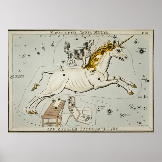 Póster Vintage Constellation Illustration (Frente)