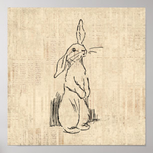 Póster Vintage Cute Bunny Rabbit Art Script Background