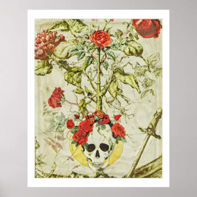 Póster vintage de calavera y rosal (Frente)