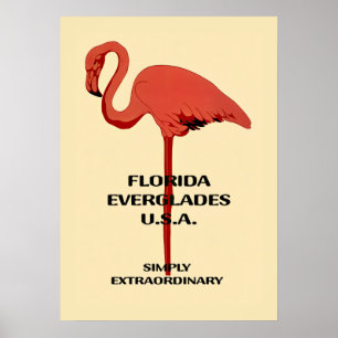 Póster vintage de flamenco de Florida de 20x28
