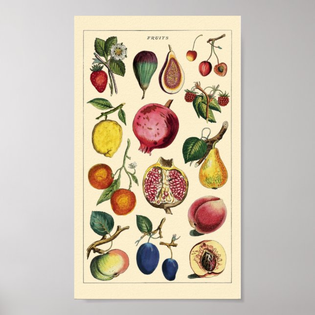Póster Vintage de frutas (Frente)