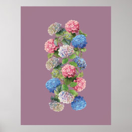 Póster Vintage de Hortensias